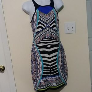 Express bodycon dress